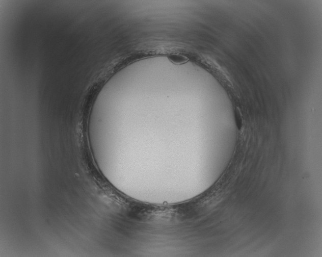 X0000073830306200609071522