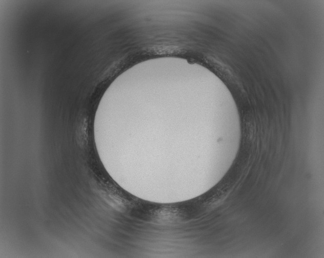 X0000073830308200609071522