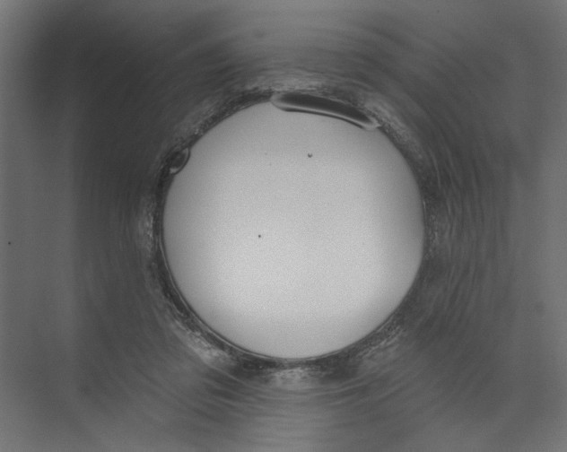 X0000073830309200609071522