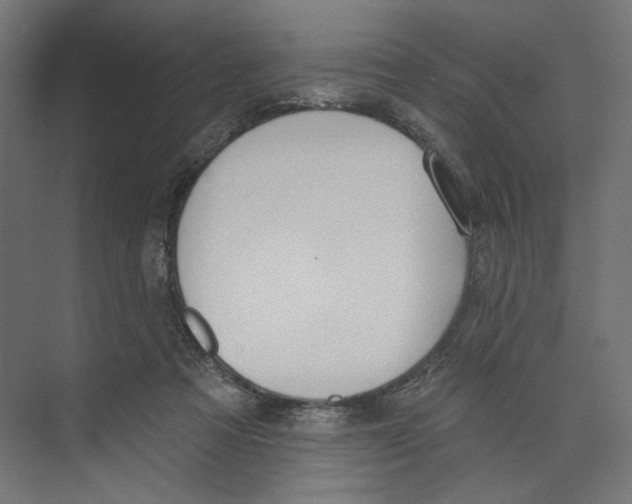 X0000073830313200609071522