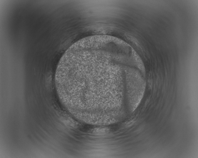 X0000073830314200609071522