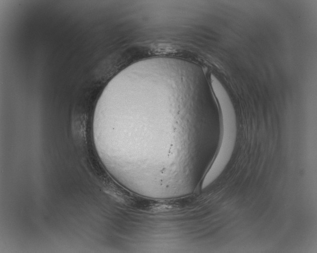 X0000073830315200609071522