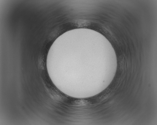 X0000073830316200609071522