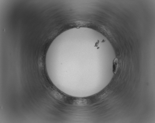 X0000073830317200609071522