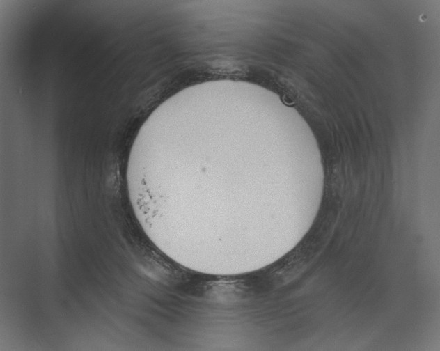 X0000073830320200609071521