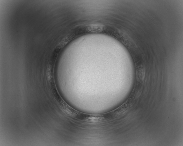 X0000073830323200609071521