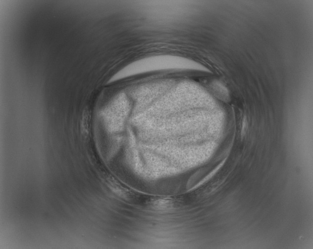 X0000073830325200609071521