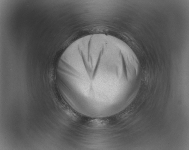 X0000073830326200609071521