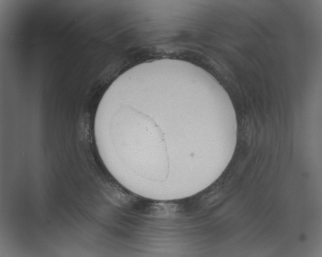 X0000073830328200609071521