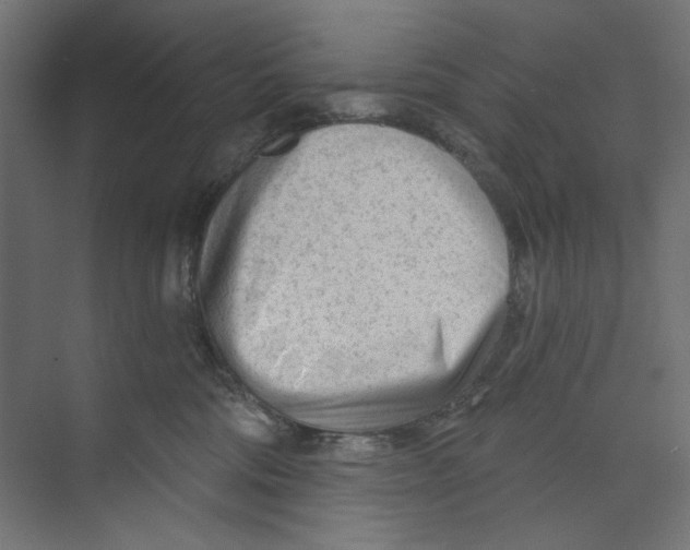 X0000073830330200609071521