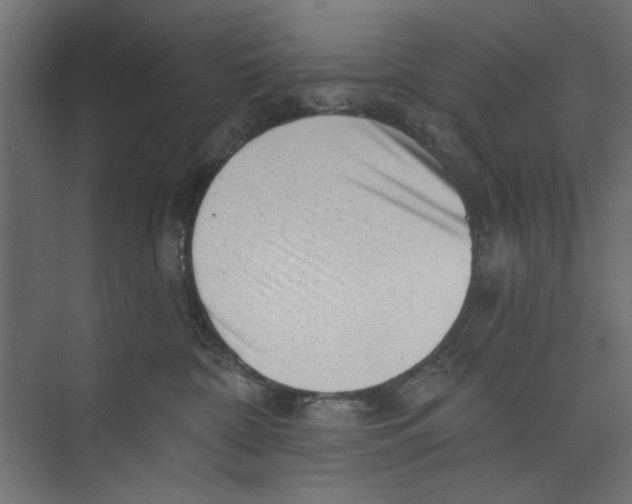 X0000073830332200609071521