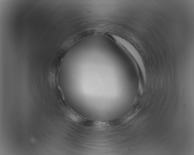 X0000073830333200609071521