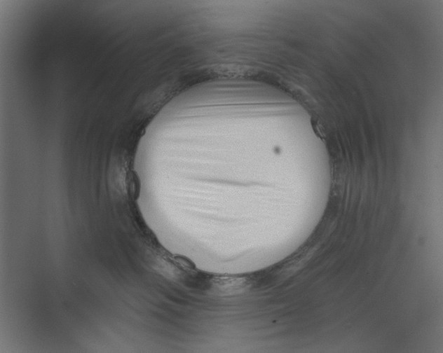 X0000073830334200609071521