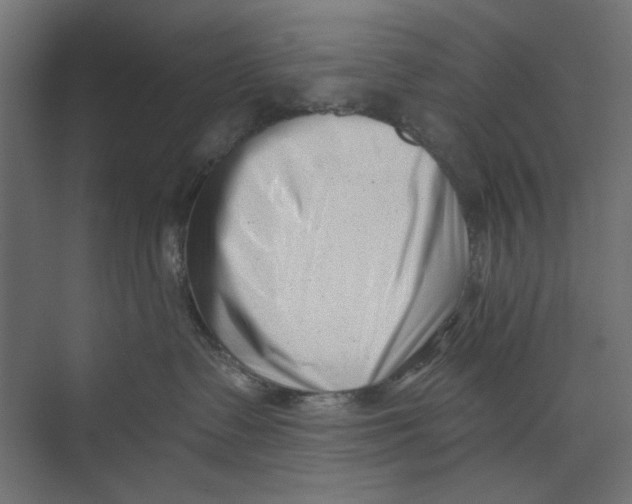 X0000073830335200609071521