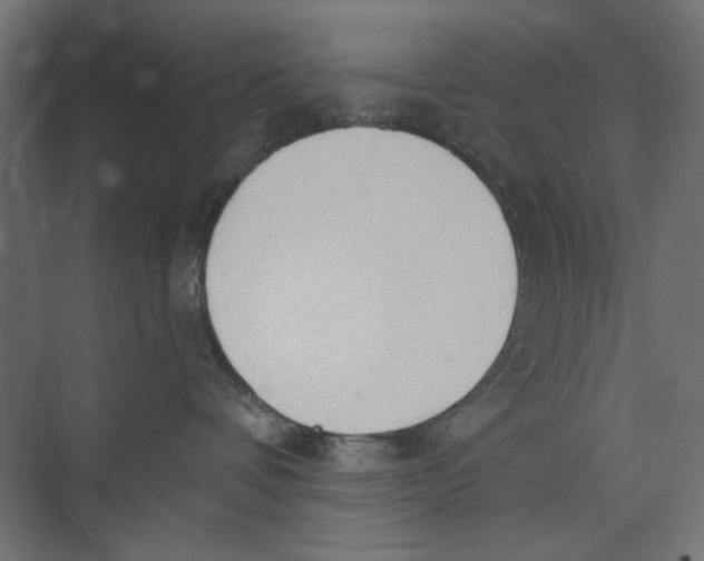 X0000073830336200609071521