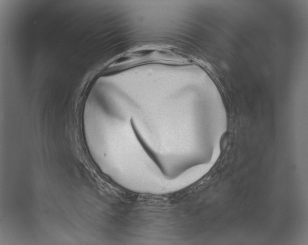 X0000073830337200609071520