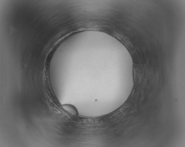 X0000073830338200609071520