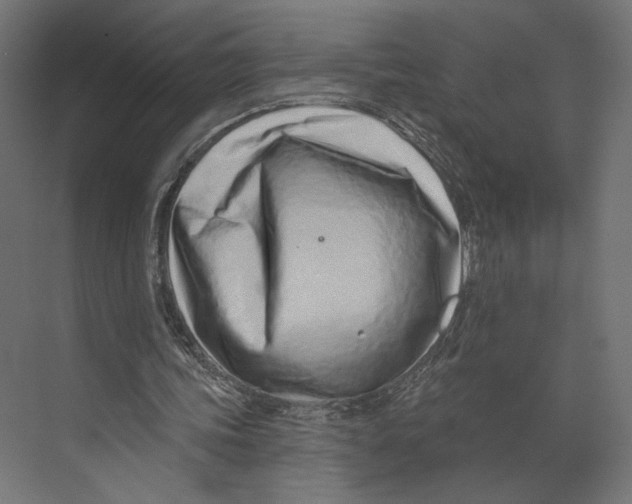 X0000073830339200609071520