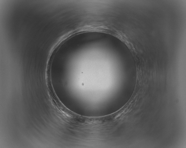 X0000073830340200609071520