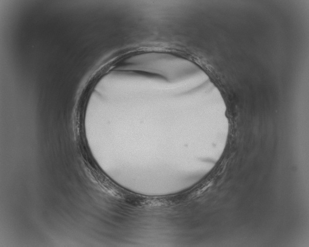 X0000073830343200609071520