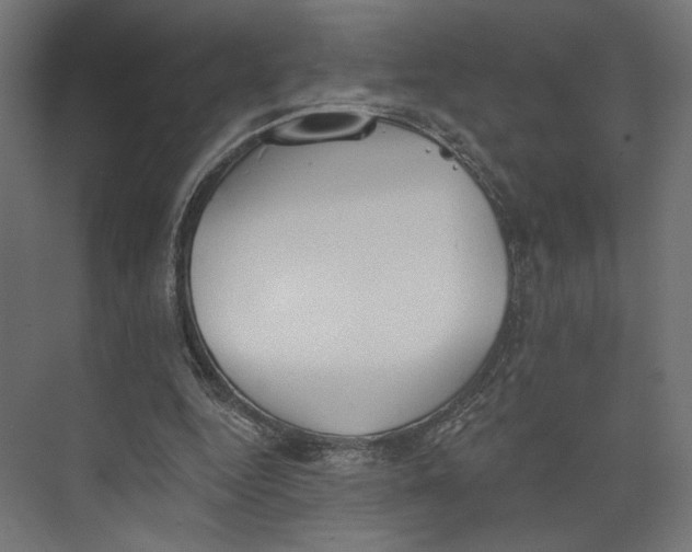 X0000073830344200609071521