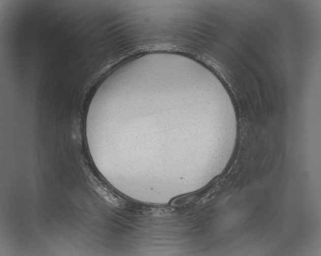 X0000073830345200609071521