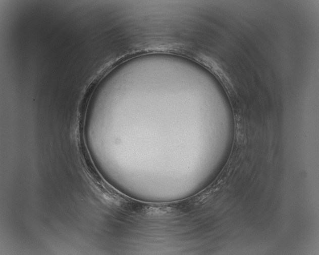 X0000073830346200609071521