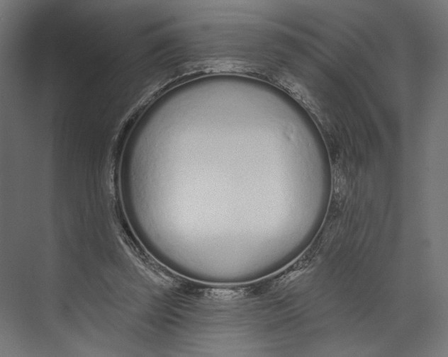 X0000073830347200609071521