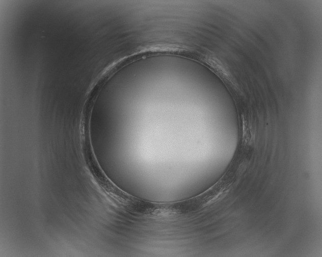 X0000073830348200609071521