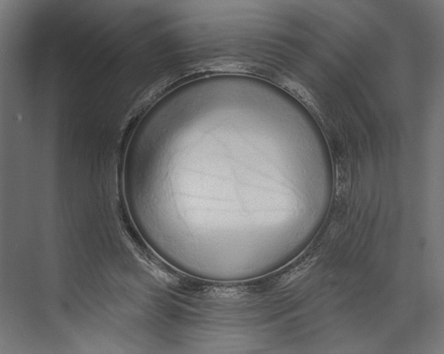 X0000073830349200609071521