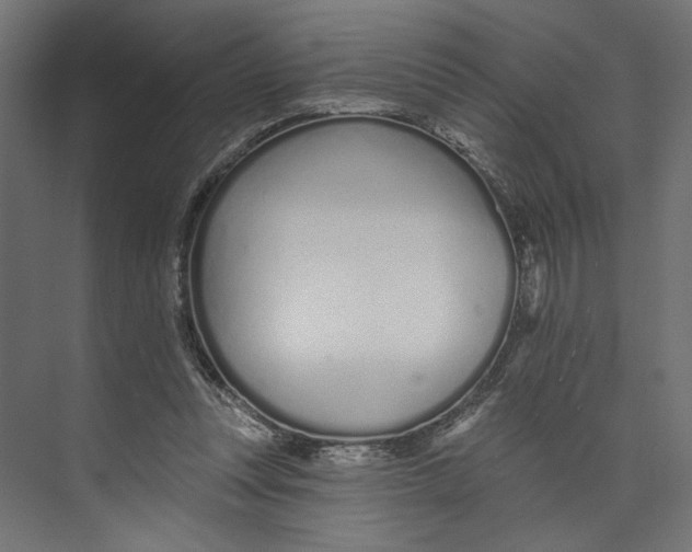 X0000073830351200609071521