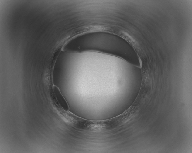 X0000073830352200609071521