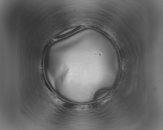 X0000073830353200609071521