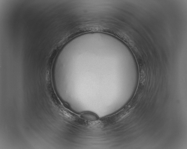 X0000073830355200609071521