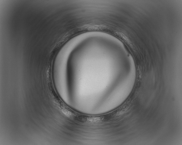 X0000073830357200609071521