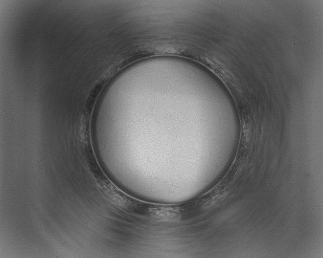 X0000073830359200609071521