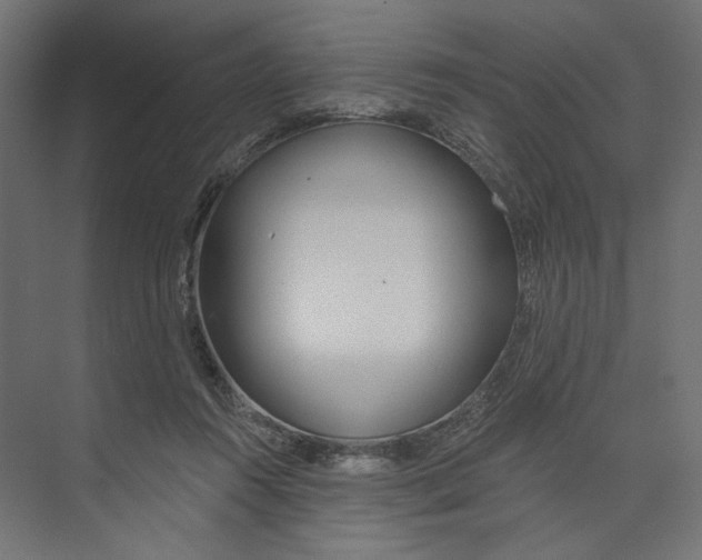 X0000073830360200609071521