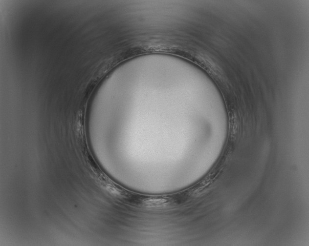 X0000073830361200609071521