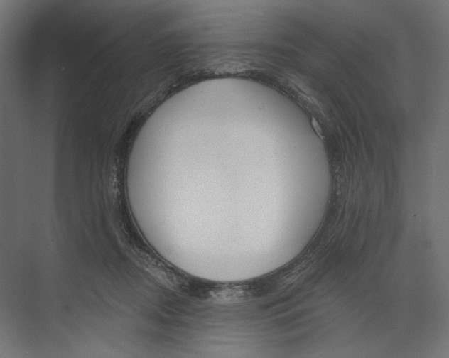 X0000073830362200609071521