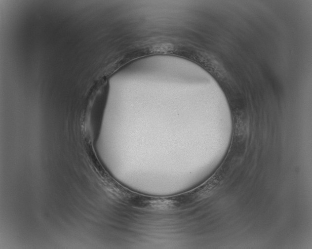 X0000073830363200609071521