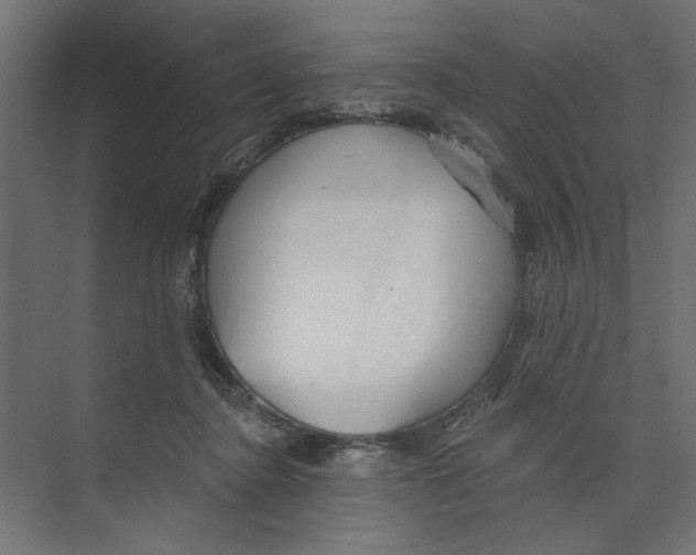 X0000073830364200609071521