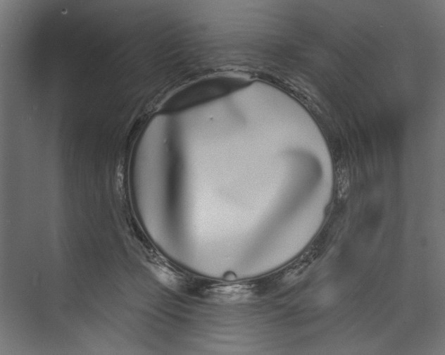 X0000073830365200609071521