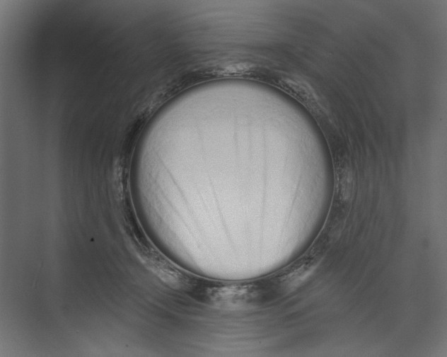 X0000073830366200609071521