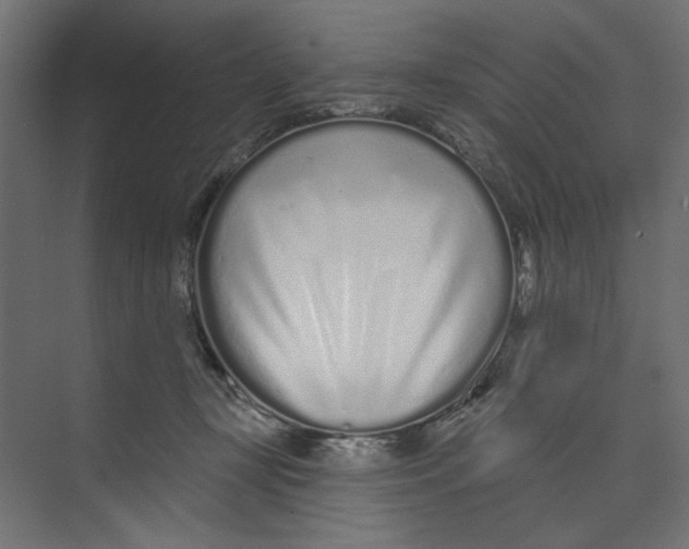 X0000073830367200609071521