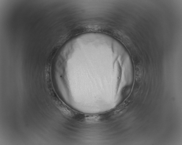 X0000073830369200609071521