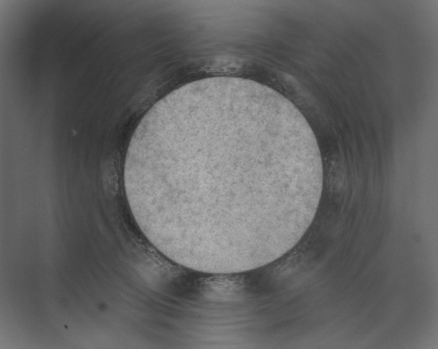 X0000073830370200609071521