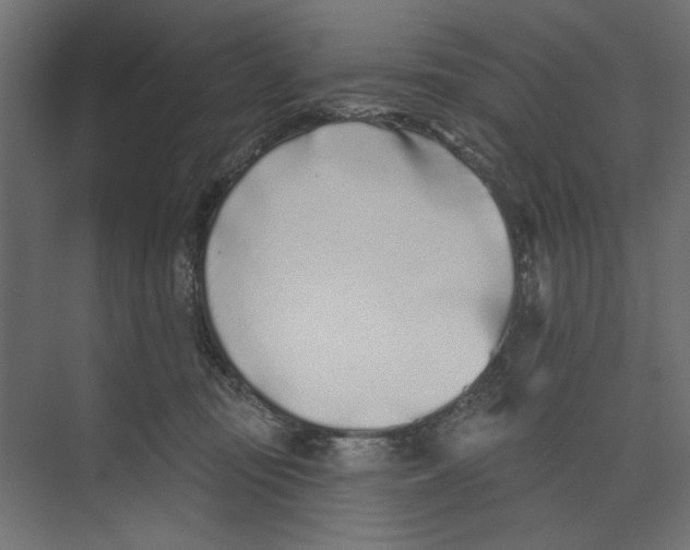 X0000073830371200609071521