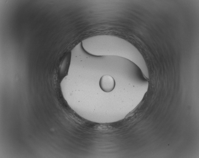 X0000073830372200609071521