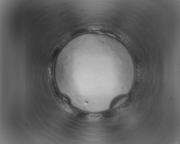 X0000073830373200609071521