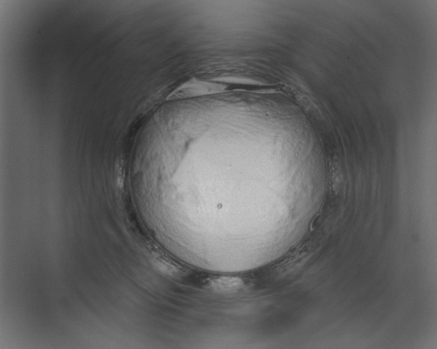 X0000073830374200609071521